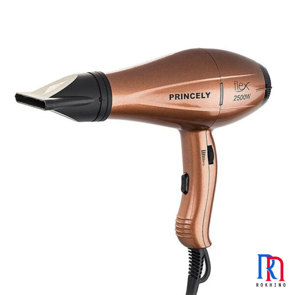 Princely PR256AT Hair Dryer