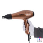 Princely PR256AT Hair Dryer